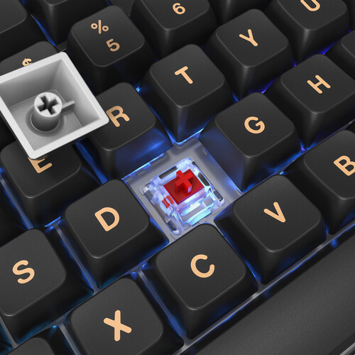 Montech MK105dR MKey Freedom RGB Wired Gaming Keyboard — photo 3