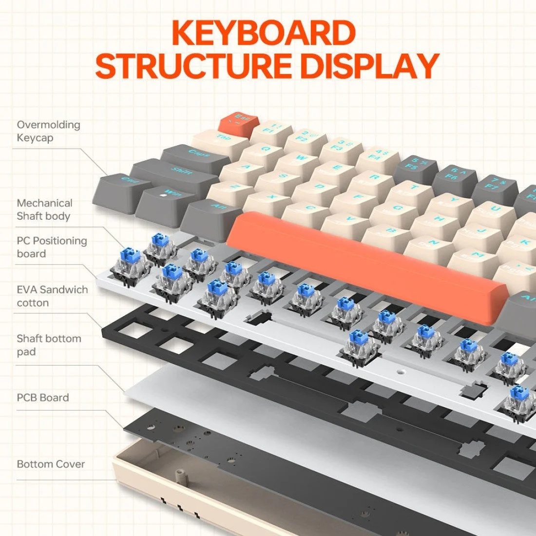 T-Wolf T30 Blue Switch Wireless RGB Mechanical Keyboard — photo 2